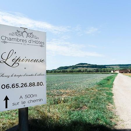 Chambre D'Hote L'Epineuse Venarey-les-Laumes Экстерьер фото
