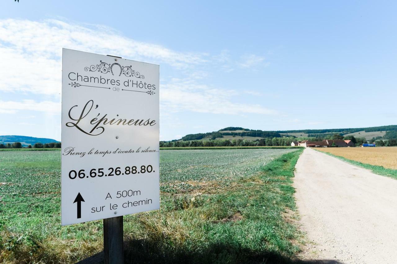 Chambre D'Hote L'Epineuse Venarey-les-Laumes Экстерьер фото